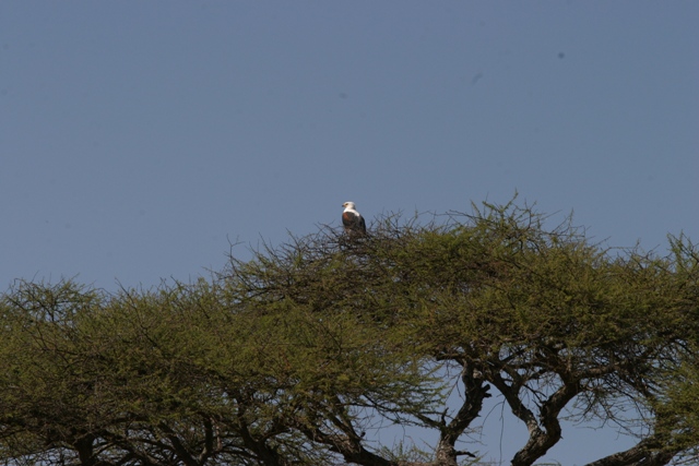 foto tanzania 2006